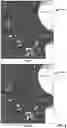 Fig. 09 - DEEP LEARNING-BASED IMAGE QUALITY ENHANCEMENT OF THREE-DIMENSIONAL ANATOMY SCAN IMAGES