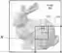 Fig. 01 - MULTIRESOLUTION HASH ENCODING FOR NEURAL NETWORKS
