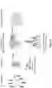 Fig. 07 - MOLECULE DESIGN
