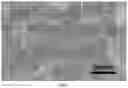 Fig. 02 - Application of titanium carbide/porous carbon composite in electrochemical treatment of uranium-containing wastewater