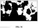 Fig. 35 - METHOD, APPARATUS, AND RECORDING MEDIUM FOR REGION-BASED DIFFERENTIAL IMAGE ENCODING/DECODING