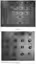 Fig. 08 - SURFACE FUNCTIONALIZING METHOD FOR USE IN HIGH-THROUGHPUT IN SITU SYNTHESIS OF NUCLEIC ACIDS BY 3D INKJET PRINTING