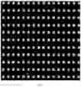Fig. 09 - SURFACE FUNCTIONALIZING METHOD FOR USE IN HIGH-THROUGHPUT IN SITU SYNTHESIS OF NUCLEIC ACIDS BY 3D INKJET PRINTING