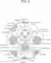 Fig. 07 - SHOWER HEAD AND SUBSTRATE PROCESSING DEVICE