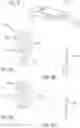Fig. 06 - Unlockable Tie Apparatus