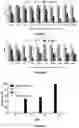 Fig. 04 - A SYNERGISTIC BACTERICIDE AND BACTERIOSTATIC ORGANIC SANITIZING/DISINFECTANT/CLEANING FORMULATION