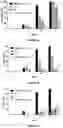 Fig. 09 - A SYNERGISTIC BACTERICIDE AND BACTERIOSTATIC ORGANIC SANITIZING/DISINFECTANT/CLEANING FORMULATION