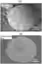 Fig. 01 - HYDROXYAPATITE-SUPPORTING POROUS SILICA PARTICLES, METHOD FOR PRODUCING HYDROXYAPATITE-SUPPORTING POROUS SILICA PARTICLES, AND COMPOSITION COMPRISING HYDROXYAPATITE-SUPPORTING POROUS SILICA PARTICLES
