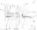 Fig. 01 - APPARATUS AND METHOD FOR SHAPING A STRAND-SHAPED FOODSTUFF