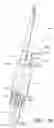 Fig. 09 - Systems for Sacroiliac Joint Stabilization