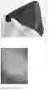 Fig. 07 - Method for fermenting biomass and producing material sheets and suspensions thereof