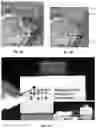 Fig. 06 - TRANSPARENT PHOTOVOLTAIC CELLS