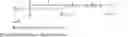 Fig. 08 - Audio encoder and bandwidth extension decoder