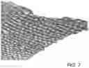 Fig. 07 - LIONFISH LEATHER AND PREPARATION THEREOF