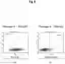 Fig. 09 - METHOD FOR MANUFACTURING INDUCED PLURIPOTENT STEM CELLS