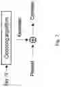 Fig. 08 - RADIO NETWORK NODE, USER EQUIPMENT (UE) AND METHODS PERFORMED THEREIN