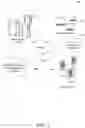 Fig. 02 - Determining merchant enforced transaction rules