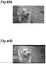Fig. 41 - ORGANIC LIGHT-EMITTING ELEMENT, LIGHT-EMITTING DEVICE, AND LIGHT-EMITTING METHOD