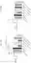 Fig. 67 - GENETICALLY ENGINEERED HEMATOPOIETIC STEM CELLS AND USES THEREOF