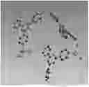 Fig. 01 - PREPARATION METHOD OF CRYSTAL STRUCTURE ANALYSIS SAMPLE FOR STRUCTURAL ANALYSIS USING CRYSTAL SPONGE METHOD