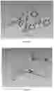Fig. 03 - PREPARATION METHOD OF CRYSTAL STRUCTURE ANALYSIS SAMPLE FOR STRUCTURAL ANALYSIS USING CRYSTAL SPONGE METHOD