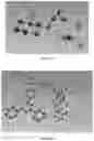 Fig. 05 - PREPARATION METHOD OF CRYSTAL STRUCTURE ANALYSIS SAMPLE FOR STRUCTURAL ANALYSIS USING CRYSTAL SPONGE METHOD