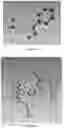 Fig. 07 - PREPARATION METHOD OF CRYSTAL STRUCTURE ANALYSIS SAMPLE FOR STRUCTURAL ANALYSIS USING CRYSTAL SPONGE METHOD