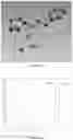 Fig. 08 - PREPARATION METHOD OF CRYSTAL STRUCTURE ANALYSIS SAMPLE FOR STRUCTURAL ANALYSIS USING CRYSTAL SPONGE METHOD