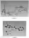 Fig. 10 - PREPARATION METHOD OF CRYSTAL STRUCTURE ANALYSIS SAMPLE FOR STRUCTURAL ANALYSIS USING CRYSTAL SPONGE METHOD