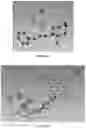 Fig. 12 - PREPARATION METHOD OF CRYSTAL STRUCTURE ANALYSIS SAMPLE FOR STRUCTURAL ANALYSIS USING CRYSTAL SPONGE METHOD
