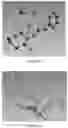 Fig. 13 - PREPARATION METHOD OF CRYSTAL STRUCTURE ANALYSIS SAMPLE FOR STRUCTURAL ANALYSIS USING CRYSTAL SPONGE METHOD