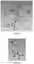 Fig. 15 - PREPARATION METHOD OF CRYSTAL STRUCTURE ANALYSIS SAMPLE FOR STRUCTURAL ANALYSIS USING CRYSTAL SPONGE METHOD