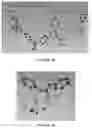 Fig. 16 - PREPARATION METHOD OF CRYSTAL STRUCTURE ANALYSIS SAMPLE FOR STRUCTURAL ANALYSIS USING CRYSTAL SPONGE METHOD