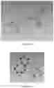 Fig. 17 - PREPARATION METHOD OF CRYSTAL STRUCTURE ANALYSIS SAMPLE FOR STRUCTURAL ANALYSIS USING CRYSTAL SPONGE METHOD