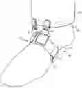 Fig. 01 - TROUSER RETAINING STRAP