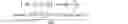 Fig. 06 - Abaloparatide formulations and methods of testing, storing, modifying, and using same