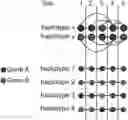 Fig. 01 - METHODS AND SYSTEMS FOR IDENTIFYING RECOMBINANT VARIANTS