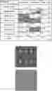 Fig. 01 - MUMPS AND MEASLES VIRUS IMMUNOGENS AND THEIR USE