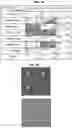 Fig. 02 - MUMPS AND MEASLES VIRUS IMMUNOGENS AND THEIR USE