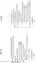 Fig. 06 - MUMPS AND MEASLES VIRUS IMMUNOGENS AND THEIR USE