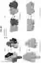 Fig. 09 - MUMPS AND MEASLES VIRUS IMMUNOGENS AND THEIR USE
