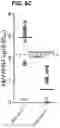 Fig. 16 - MUMPS AND MEASLES VIRUS IMMUNOGENS AND THEIR USE