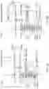 Fig. 03 - NOVEL IL2 AGONISTS AND METHODS OF USE THEREOF
