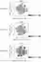 Fig. 22 - NOVEL IL2 AGONISTS AND METHODS OF USE THEREOF