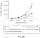 Fig. 63 - NOVEL IL2 AGONISTS AND METHODS OF USE THEREOF