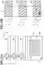 Fig. 16 - Printing apparatus, control method, printing system, and storage medium determining ink color for printing code by excluding ink color satisfying a condition
