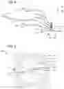 Fig. 04 - A MICRONEEDLE AND A FLUID CHANNEL SYSTEM FOR COLLECTING FLUID