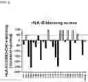 Fig. 07 - ANTIBODIES TO LILRB2