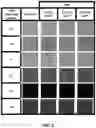 Fig. 02 - Colored alkali aluminosilicate glass articles