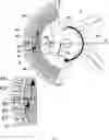 Fig. 04 - TRIMMER HEAD